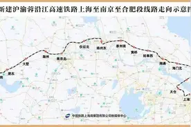 长三角观察上海要在崇明再添一座高铁站“乡下小岛”将如何起飞？图片