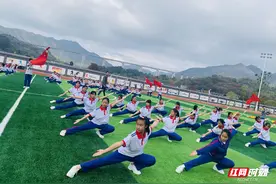 阳光下努力成长为“参天大树”图片