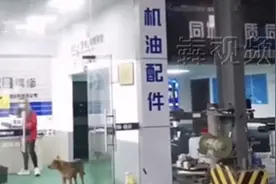 赞！维修车胎还管饭，这个服务区要火图片