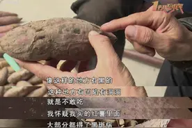 红薯长黑斑能不能吃？你想知道的都在这里图片