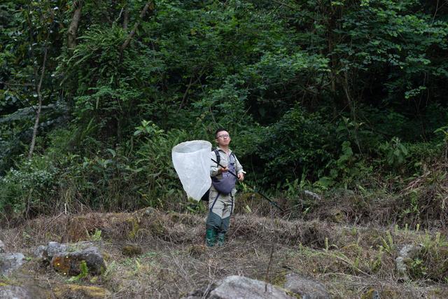 帮大头妹赢王国（蜻蜓王国寻路人）