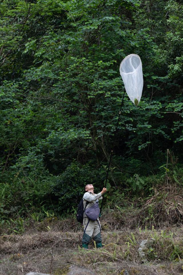 “蜻蜓王国”寻路人