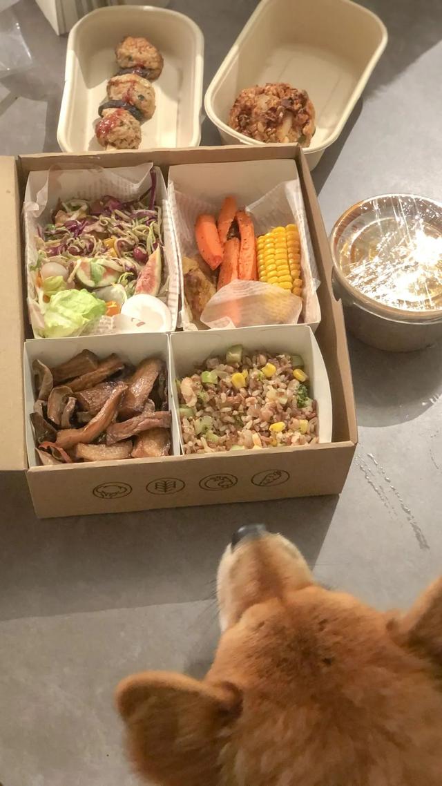 西泠松舍身体乳怎么样