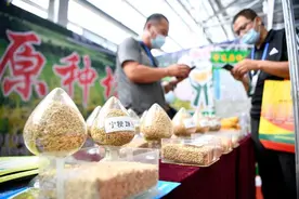 农业农村部：打造种业振兴的骨干力量 加快形成种业企业发展新格局图片