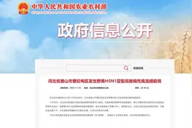 河北唐山市曹妃甸区发生野禽H5N1亚型高致病性禽流感疫情