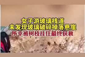 女子游玻璃栈道未发现玻璃破碎掉落悬崖，所幸被树枝挂住最终获救图片