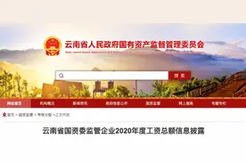 人均年薪最高达24万元！云南省属国企职工工资信息披露图片