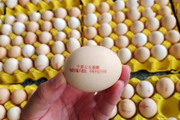 当骗子遇上花式反诈，网友：给我打电话，能骗到算我输