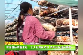 蒲城县孙镇潘庄村：壮大村集体经济 带动村民增收致富图片