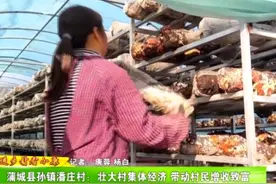 蒲城县孙镇潘庄村：壮大村集体经济 带动村民增收致富图片
