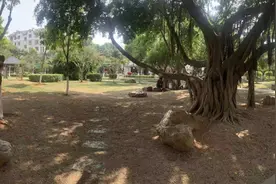 周末逛起！翔安公园上新了~图片