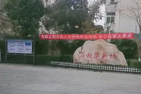 郑州一社区全面禁止养狗引质疑，居委会：不会强行开门捉狗图片