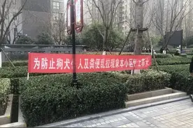 养狗竟要遭处罚？一小区现“禁狗令”：居民自行处理犬只图片