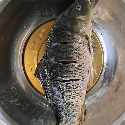 吃一次就上瘾的家常炖鱼