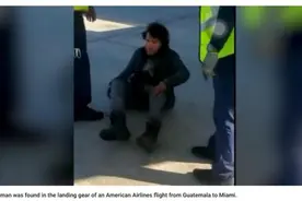 危地马拉男子偷藏飞机起落架 毫发无损落地美迈阿密图片