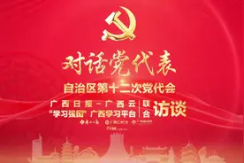 学习强国·对话党代表｜孙国梁：“33362”数字背后，蕴含着博白未来五年的发展方向图片
