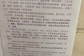 “这么大一个小区，为什么容不下一条狗？”郑州一社区出“禁犬令”，法律学者：民意还要合乎法度图片