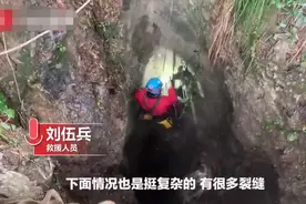 小狗掉50米深洞，6年后被救：靠村民投喂活到现在图片