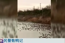 佩服！民警花3小时数3812只鸭子！用两天一宿分鸭子……图片