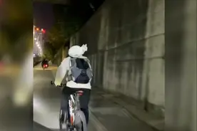 男孩骑自行车猫咪稳稳蹲在肩头，网友：动漫既视感视频封面