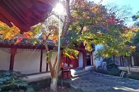 有一种美，叫枫叶红了图片