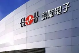 股份又被拍卖了近3亿元，它经历了什么？图片