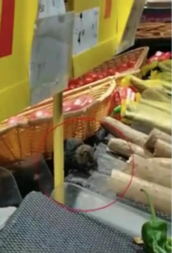 家乐福购物卡查询（上海一家乐福超市食品安全引担忧）