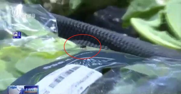 家乐福购物卡查询（上海一家乐福超市食品安全引担忧）