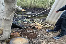 曝光！省生态环境厅公布9起非现场执法典型案例（第二批）图片