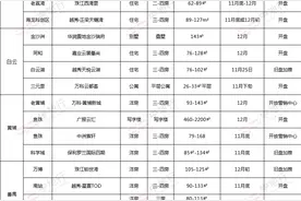 年底冲刺！12月广州16个全新项目要开盘图片