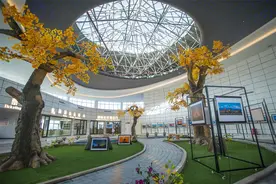 “云”游新疆丨千古画中行 伊吾胡杨林图片