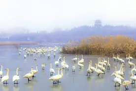 我市举办《河南小秦岭国家级自然保护区条例》实施三周年宣传活动图片