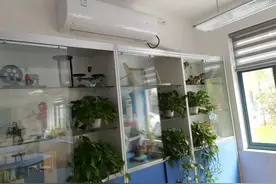 全覆盖！杨浦公办中小学普通教室空调齐“上线”图片