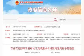 十堰已开始行动！这些行为都是违法！图片
