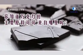 全球连线 | 非洲可可，漂洋过海来看你图片
