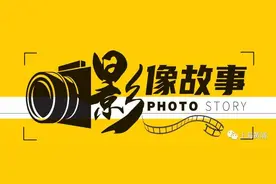 影像故事丨想撸猫？黄浦这些地方满足你图片