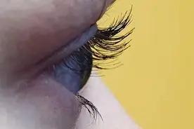 为什么长睫毛？蓝眼睛是怎么回事？为什么痛哭时会流涕？“眼冒金星”时你怎么了…眼睛那些事图片