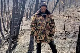 村支书巡山遭野猪袭击身亡后：当地今年共捕杀6头野猪 专家称缓解“人猪冲突”不能简单靠捕杀图片