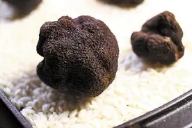 「美食」云南黑松露堪比法国货 中厨分享好煮意图片