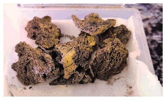 草地周刊丨寻丝