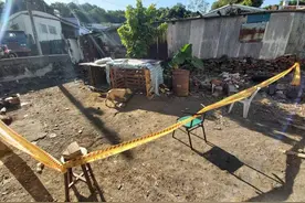 悲剧！台媒：屏东5岁男童独自到邻居家玩，被比特犬紧咬腹部身亡图片