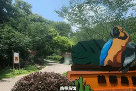 红山动物园：不再孤独矗立丨2021·回望图片