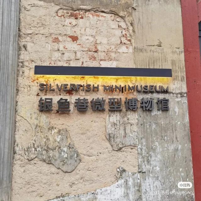 花胶店的名字 2025年花胶店的名字有哪些