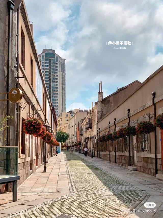 花胶店的名字 2025年花胶店的名字有哪些