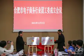 合肥市电子商务行业团工委成立图片