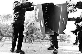 95种国家重点保护野生动物落户北京延庆图片