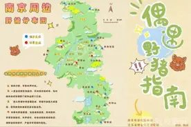 南京野猪背后：监测、救助与科学防控图片
