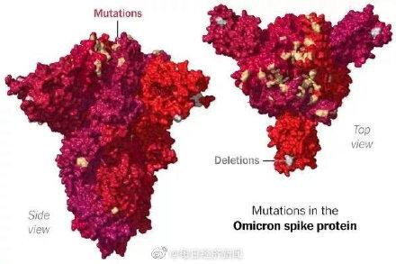 研究称奥密克戎或带有感冒病毒基因 科学家盼“弱病毒”扭转疫情