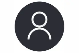 人在中国，如何快速获取在新加坡的缴税记录？图片