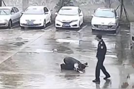 对话“抹泪跪谢拘留所民警”男子：因修路纠纷打伤邻居被拘，发自内心感谢民警帮助图片